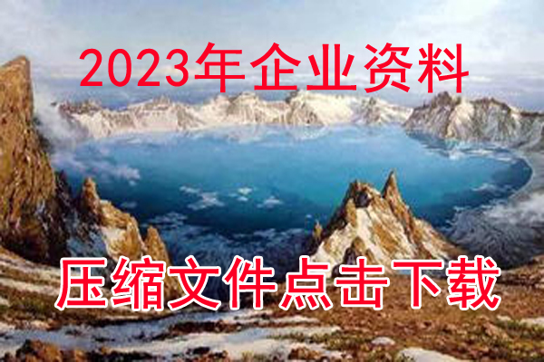 2023年度企業(yè)資料下載